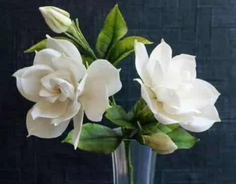 家里有个吸烟的,摆上这几种花,专治二手烟,全家都健康! 家里有个吸烟的,摆上这几种花,专治二手烟,全家都健康!