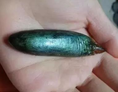 鱼身上这个部位万万不能吃!比砒霜还毒!(图) 鱼身上这个部位万万不能吃!比砒霜还毒!(图)