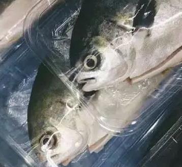 鱼身上这个部位万万不能吃!比砒霜还毒!(图) 鱼身上这个部位万万不能吃!比砒霜还毒!(图)