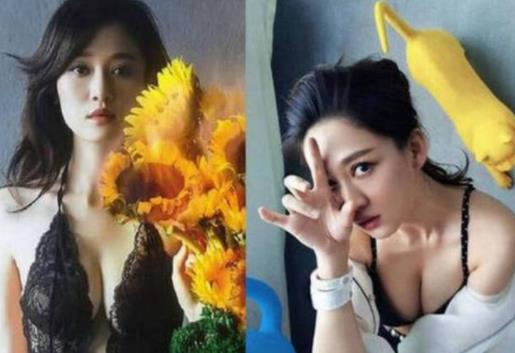 中国胸部最美的10大女明星（对比组图）