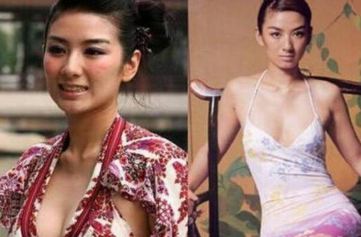 中国胸部最美的10大女明星（对比组图）