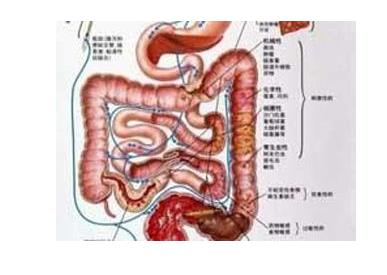 小儿痢疾多久能好：视情况而定,小儿痢疾有轻重之分