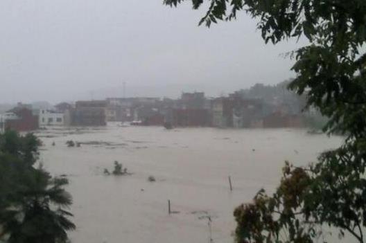 1983年蛇灾是什么意思：揭民间故事83年蛇灾怎么了