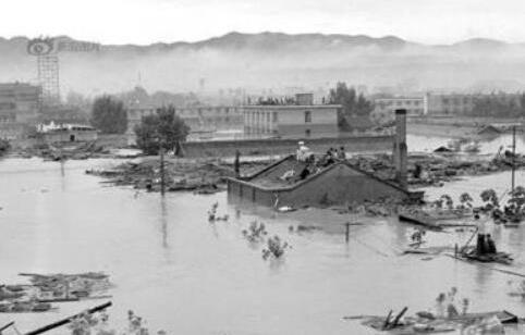 1983年蛇灾是什么意思：揭民间故事83年蛇灾怎么了