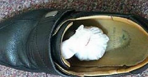 喝剩的茶叶倒进鞋里,不可思议的事情发生了(图) 喝剩的茶叶倒进鞋里,不可思议的事情发生了(图)