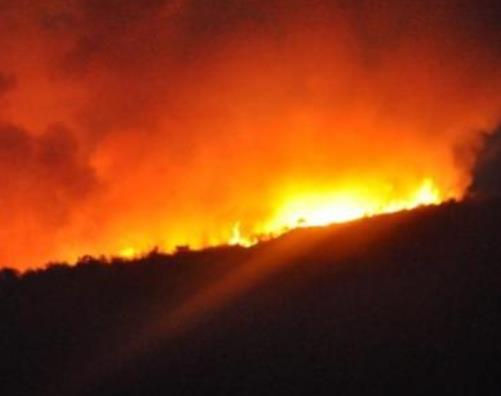 梦见什么是发财的预兆：揭做什么样的梦会预示着发财