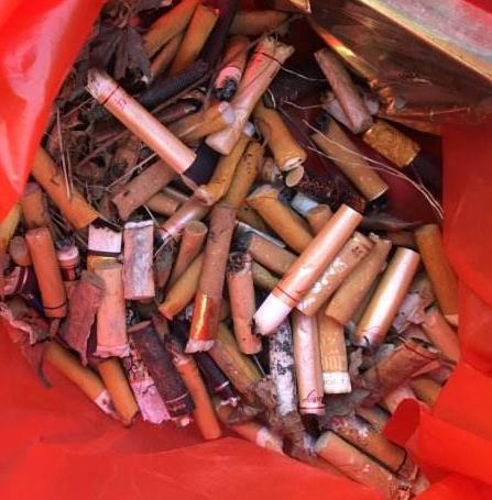 变废为宝?烟头可用于铺路 环保还降温(图) 变废为宝?烟头可用于铺路 环保还降温(图)