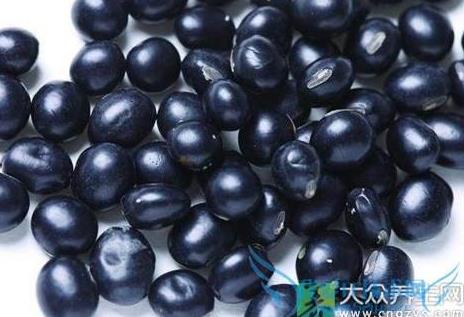 黑豆泡醋的功效:补肾秘方黑豆泡醋方法 黑豆泡醋的功效:补肾秘方黑豆泡醋方法