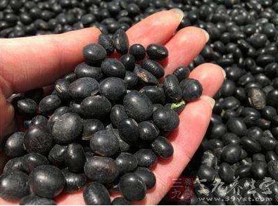 黑豆泡醋的功效:补肾秘方黑豆泡醋方法 黑豆泡醋的功效:补肾秘方黑豆泡醋方法