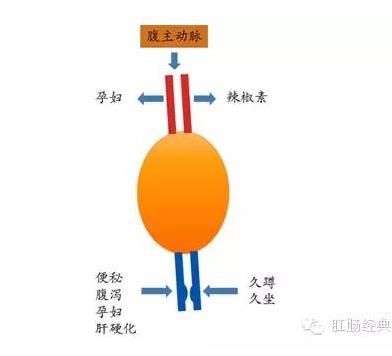 痔疮长什么样子的图片：痔疮是什么,图说痔疮