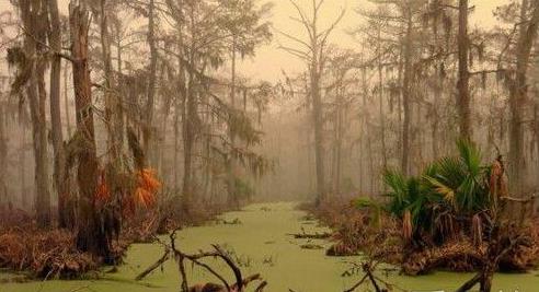 十大恐怖惊悚地点盘点：十大禁地胆小勿入（图）