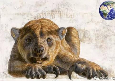 袋狮吃袋鼠:袋狮凶猛称霸澳洲 袋狮吃袋鼠:袋狮凶猛称霸澳洲