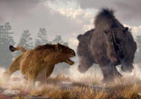 袋狮吃袋鼠:袋狮凶猛称霸澳洲 袋狮吃袋鼠:袋狮凶猛称霸澳洲