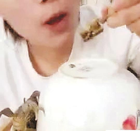 美女直播活吃小螃蟹 疾控专家说NO!这病多人已中招(图) 美女直播活吃小螃蟹 疾控专家说NO!这病多人已中招(图)