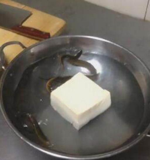 把活泥鳅扔进开水里, 十分钟后我愣了, 尝了一口好吃到爆 把活泥鳅扔进开水里, 十分钟后我愣了, 尝了一口好吃到爆