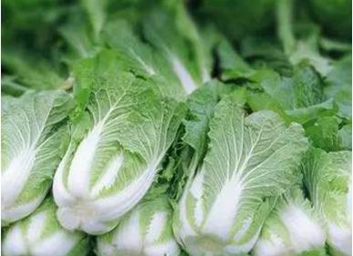 一道菜,居然能把五脏毒素全扫光!不敢相信(图) 一道菜,居然能把五脏毒素全扫光!不敢相信(图)