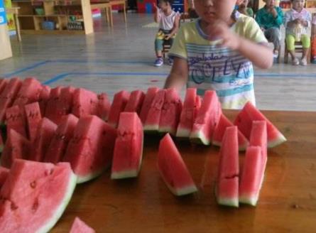 西瓜子能吃吗：西瓜子被我吃到肚子了