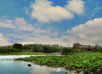 我国五大淡水湖简介:对比哪个面积最大(图) 我国五大淡水湖简介:对比哪个面积最大(图)