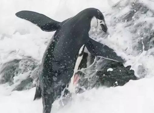 纪录片推荐:假期纪录相伴,一周好看的纪录片 纪录片推荐:假期纪录相伴,一周好看的纪录片