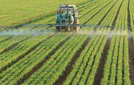 未来十年热门职业：殡葬行业排名第二