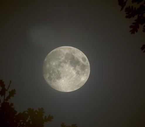 十五的月亮十六圆这种现象是什么意思 十五的月亮十六圆这种现象是什么意思