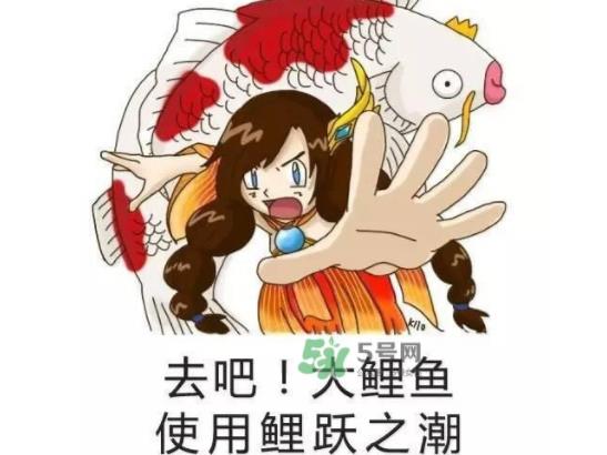 锦鲤是什么意思：锦鲤梗奇葩锦鲤纷纷出炉（图）