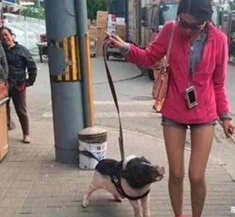 妹子，你这宠物真是够有个性了啊