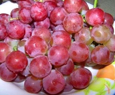 提子和葡萄的区别怎么辨别:提子葡萄营养价值对比 提子和葡萄的区别怎么辨别:提子葡萄营养价值对比