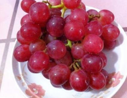 提子和葡萄的区别怎么辨别:提子葡萄营养价值对比 提子和葡萄的区别怎么辨别:提子葡萄营养价值对比
