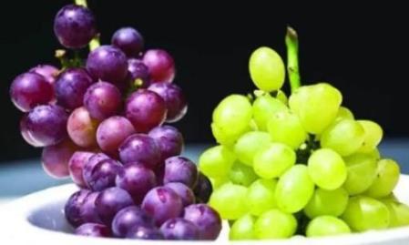 提子和葡萄的区别怎么辨别:提子葡萄营养价值对比 提子和葡萄的区别怎么辨别:提子葡萄营养价值对比