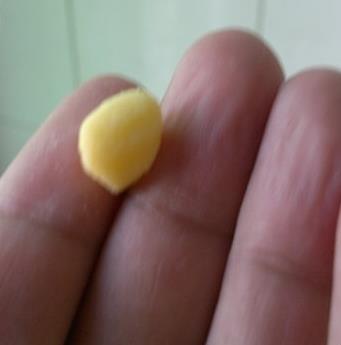 钓鲤鱼饵料配方：正确选用百度经验配方（图）