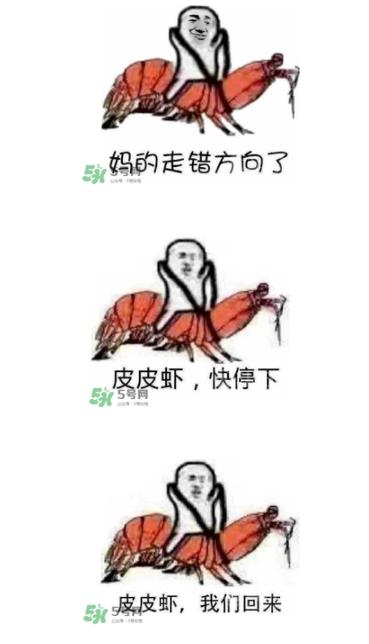 皮皮虾我们走什么意思:表情包照片欣赏 皮皮虾我们走什么意思:表情包照片欣赏