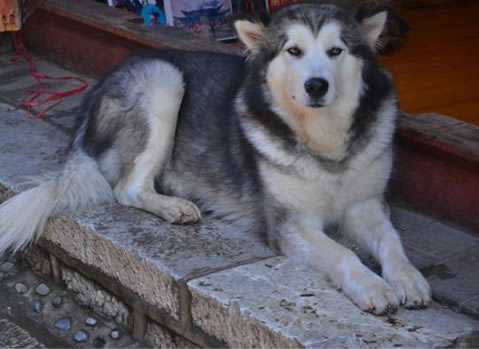 空虚是什么意思：男人说空虚女人要慎重（图）