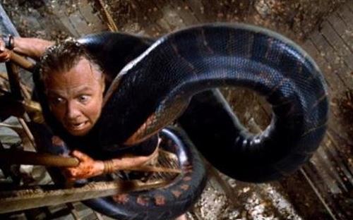 蟒蛇电影大全:现实中你侥幸遇到了逃生都困难 蟒蛇电影大全:现实中你侥幸遇到了逃生都困难