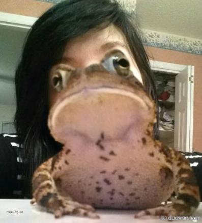 违和感是什么意思:合不来不调和(不谐调)的感觉 违和感是什么意思:合不来不调和(不谐调)的感觉