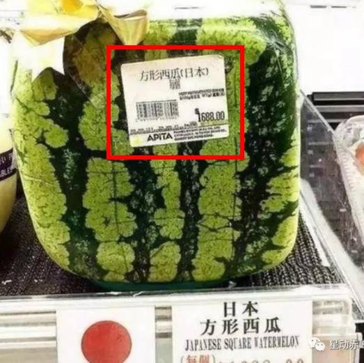 1688元买了个方形西瓜：打开全是白肉又苦又涩（图）