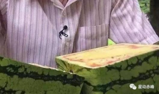 1688元买了个方形西瓜：打开全是白肉又苦又涩（图）