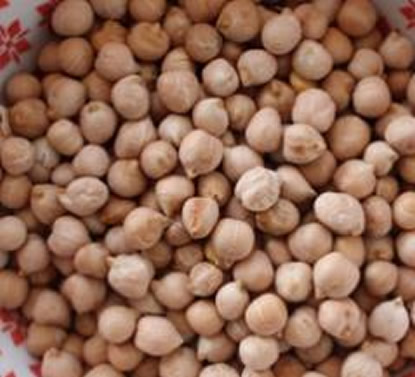 鹰嘴豆怎么吃:鹰嘴豆营养价值简介及正确吃法分享 鹰嘴豆怎么吃:鹰嘴豆营养价值简介及正确吃法分享