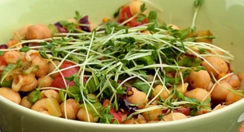 鹰嘴豆怎么吃:鹰嘴豆营养价值简介及正确吃法分享 鹰嘴豆怎么吃:鹰嘴豆营养价值简介及正确吃法分享