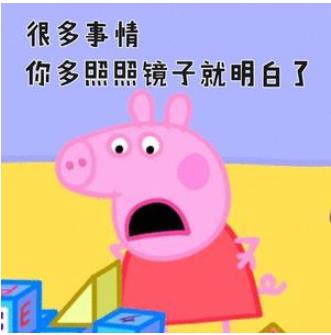 小猪佩奇社会人什么意思：粉无数的小猪佩奇（图）