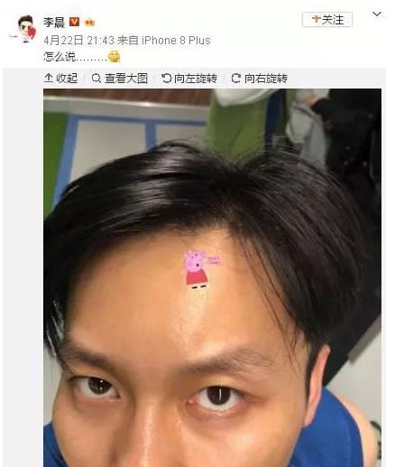 小猪佩奇社会人什么意思：粉无数的小猪佩奇（图）