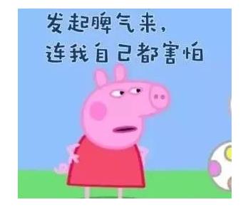 小猪佩奇社会人什么意思：粉无数的小猪佩奇（图）
