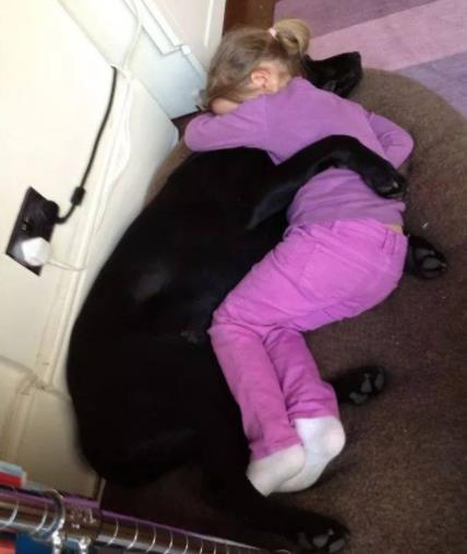 人狗情未了图片：令人感动的10大温暖瞬间（组图）