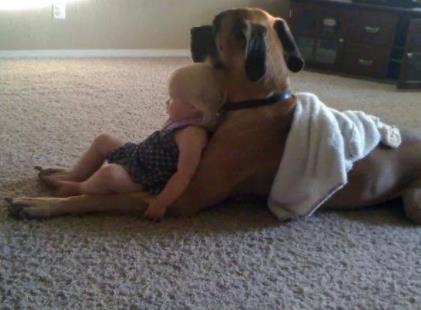 人狗情未了图片：令人感动的10大温暖瞬间（组图）