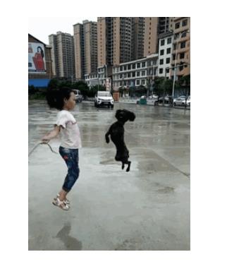 人狗情未了图片：令人感动的10大温暖瞬间（组图）