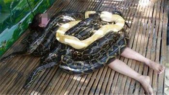 男子救了大蟒蛇半夜变成女人:竟然是一个梦(图) 男子救了大蟒蛇半夜变成女人:竟然是一个梦(图)