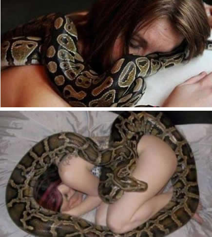 男子救了大蟒蛇半夜变成女人:竟然是一个梦(图) 男子救了大蟒蛇半夜变成女人:竟然是一个梦(图)
