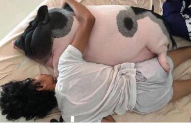 男子救了大蟒蛇半夜变成女人：竟然是一个梦（图）