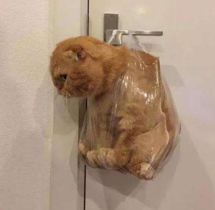 666是什么意思:大家说双击666是什么意思 666是什么意思:大家说双击666是什么意思