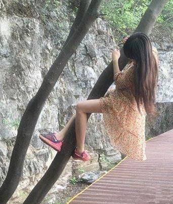 妹子你爬树干嘛啊